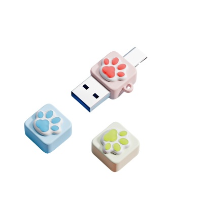 USB C Flash Drive  - CUTE