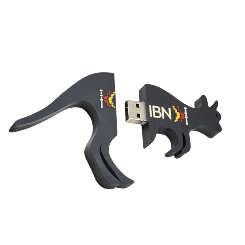 2D 3D Custom USB Flash Drive  - Animel