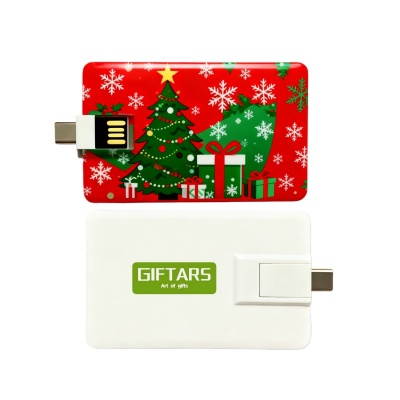 TYPE C USB Flash Drive GU-C009 